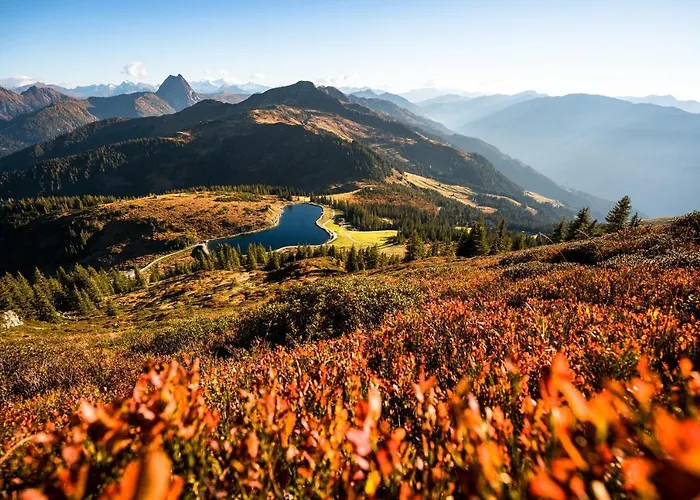 Fruhstuckspension Samerhof Farm stay